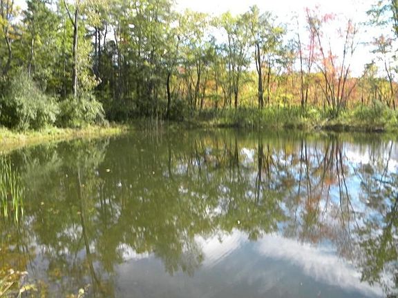 pond