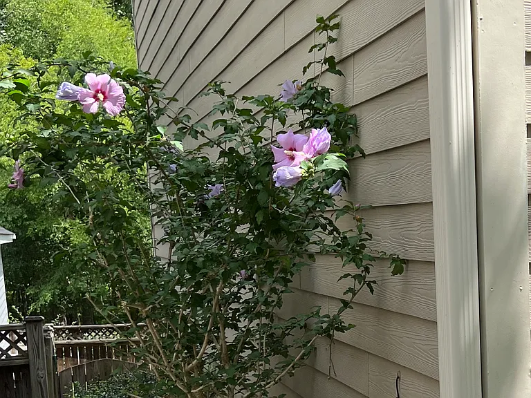 Between homes space