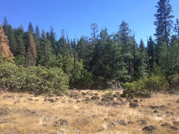 2063 Love Creek Rd, Arnold, CA 95223