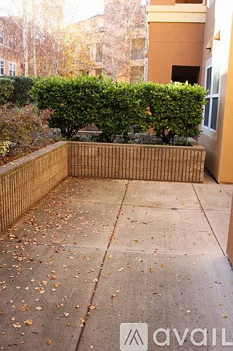 2nd image of 1310 Saddle Rack St APT 223