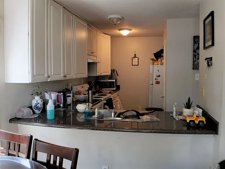 8378-8380 McGuire Dr — Photo 4