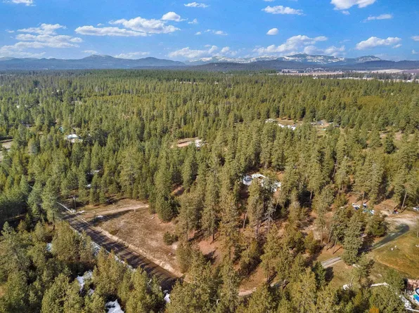 6409 E Valley Ln, Elk, WA 99009