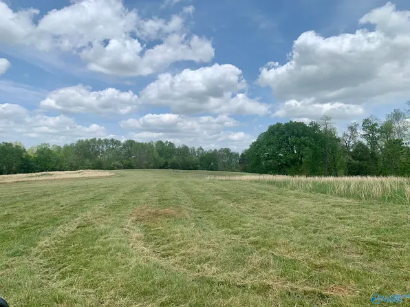 25946 Persimmon Tree Rd, Anderson, AL 35610