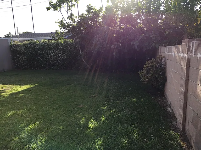 2101 Hillcrest Dr — Photo 15