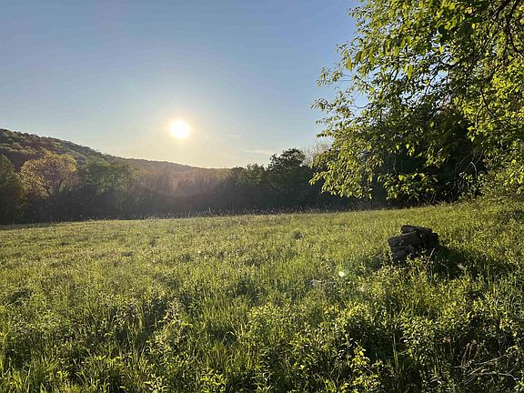 3rd image of E Bramley Mountain