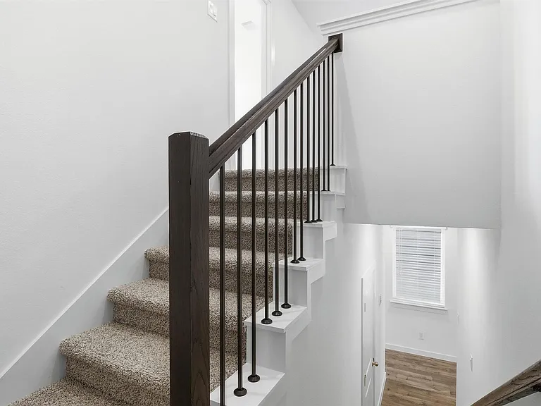 3538 Adelie Ln — Photo 16