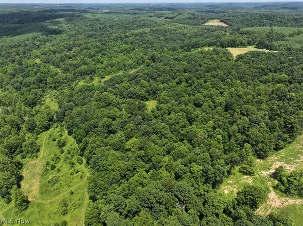 0 Tract Abcd Early Ridge Rd, McConnelsville, OH 45786