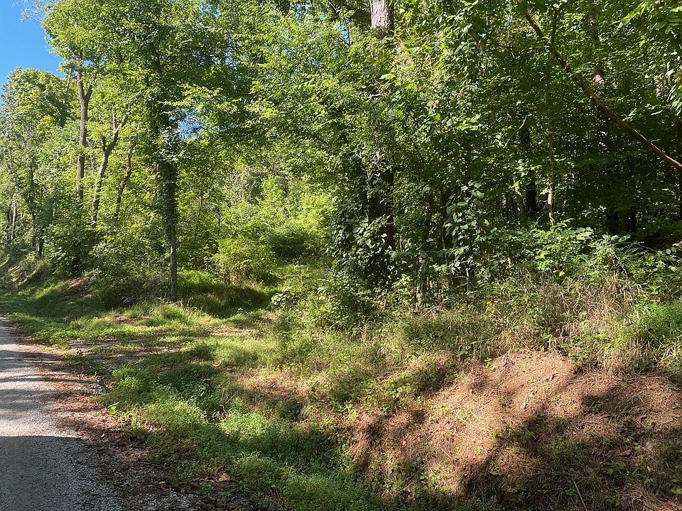 0 Dog Branch Rd, Mount Pleasant, TN 38474 Zillow