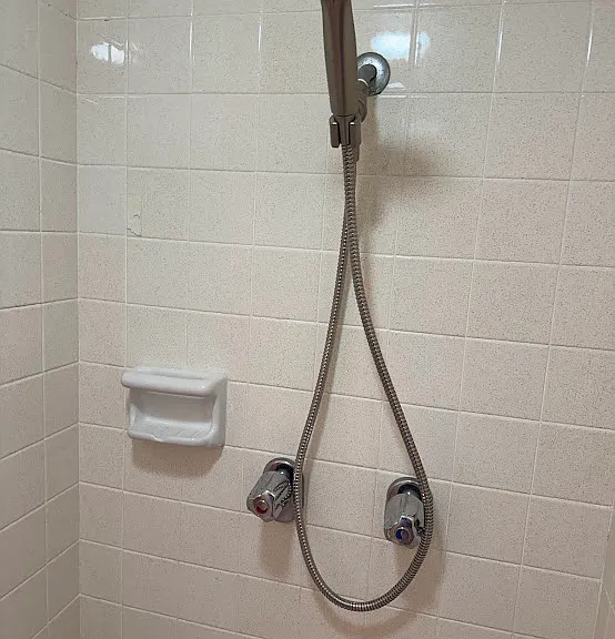 Primary shower