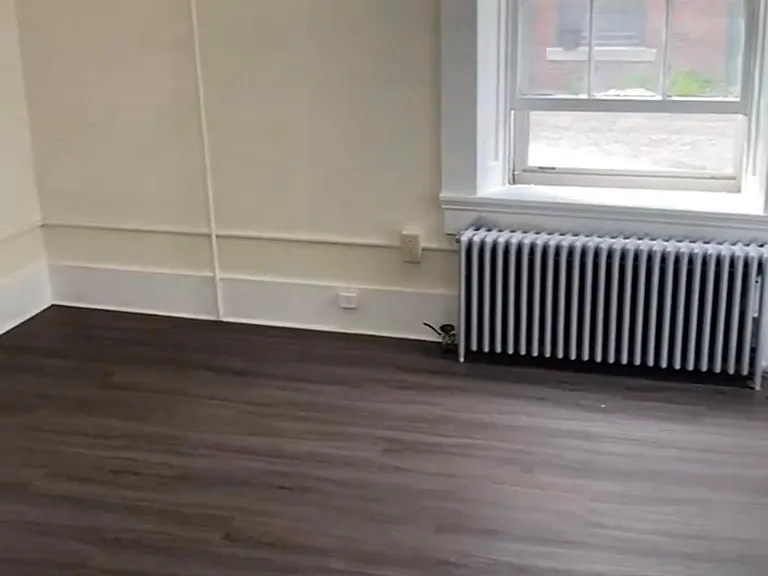 6 Clarke St #3 — Photo 7
