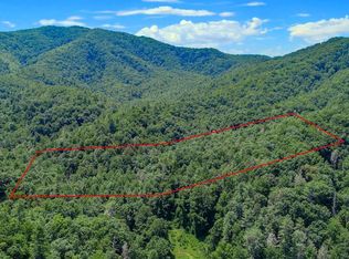 Wolf Creek Rd, Del Rio, TN 37727