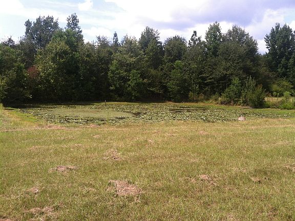 pond