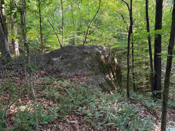 0 County Road 87 #2, Roanoke, AL 36274
