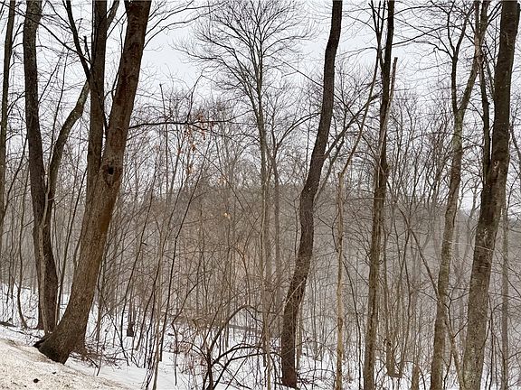 3rd image of 0 Cadogan Slate Lick Rd