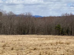 85 Burnt Ridge Rd, Liberty, NY 12754