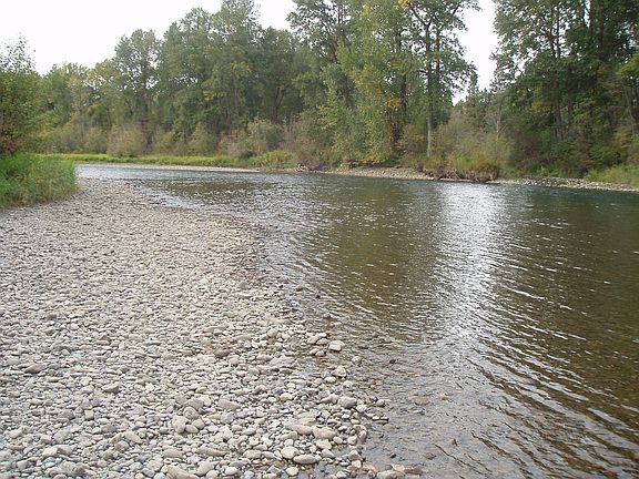 Looking at the river