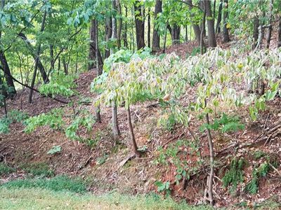 7081 Valley View Dr Lot 7081, Jasper, GA, 30143