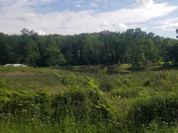 166 Knepp Rd, Deer Lodge, TN 37726