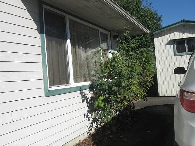 Outside, driveway side and shed