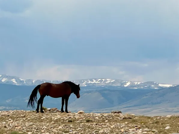 74 Whispering Ridge Rd, Laramie, WY 82070