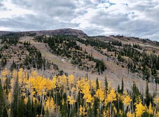 289 Toboggan Ln, Brian Head, UT 84719