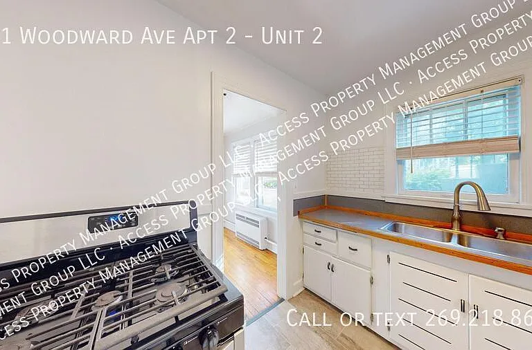 311 Woodward Ave #2 — Photo 8