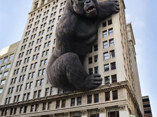 314 Broadway N #905, Saint Louis, MO 63102