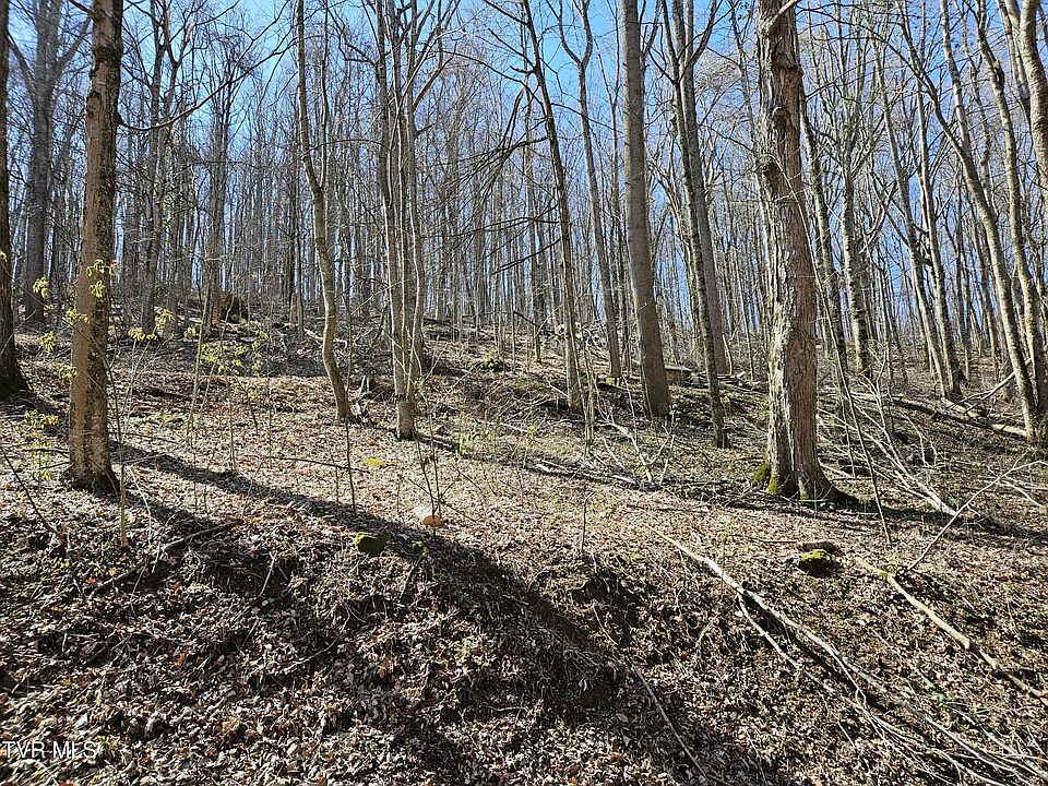 1st image of 0 Shuler Hollow Rd