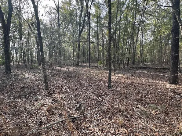 0 NW 72nd Ct, Bell, FL 32619