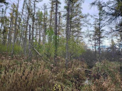 Airport Rd, Rock, MI, 49880