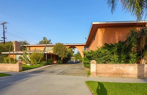 5944Palm Photo 1