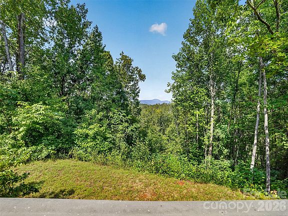 2nd image of 484 Briar Patch Ln