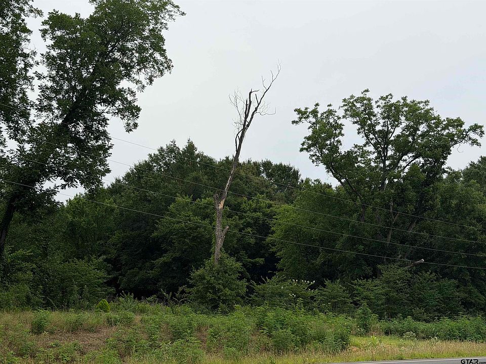 2nd image of 18171 Fm 16 Lot 6