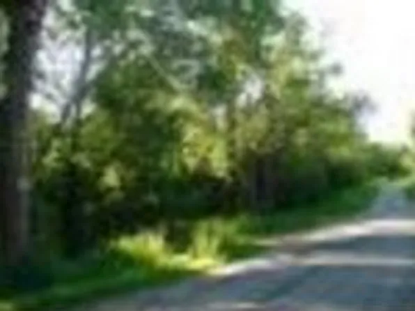 970 Irona Rd, Ellenburg Depot, NY 12935