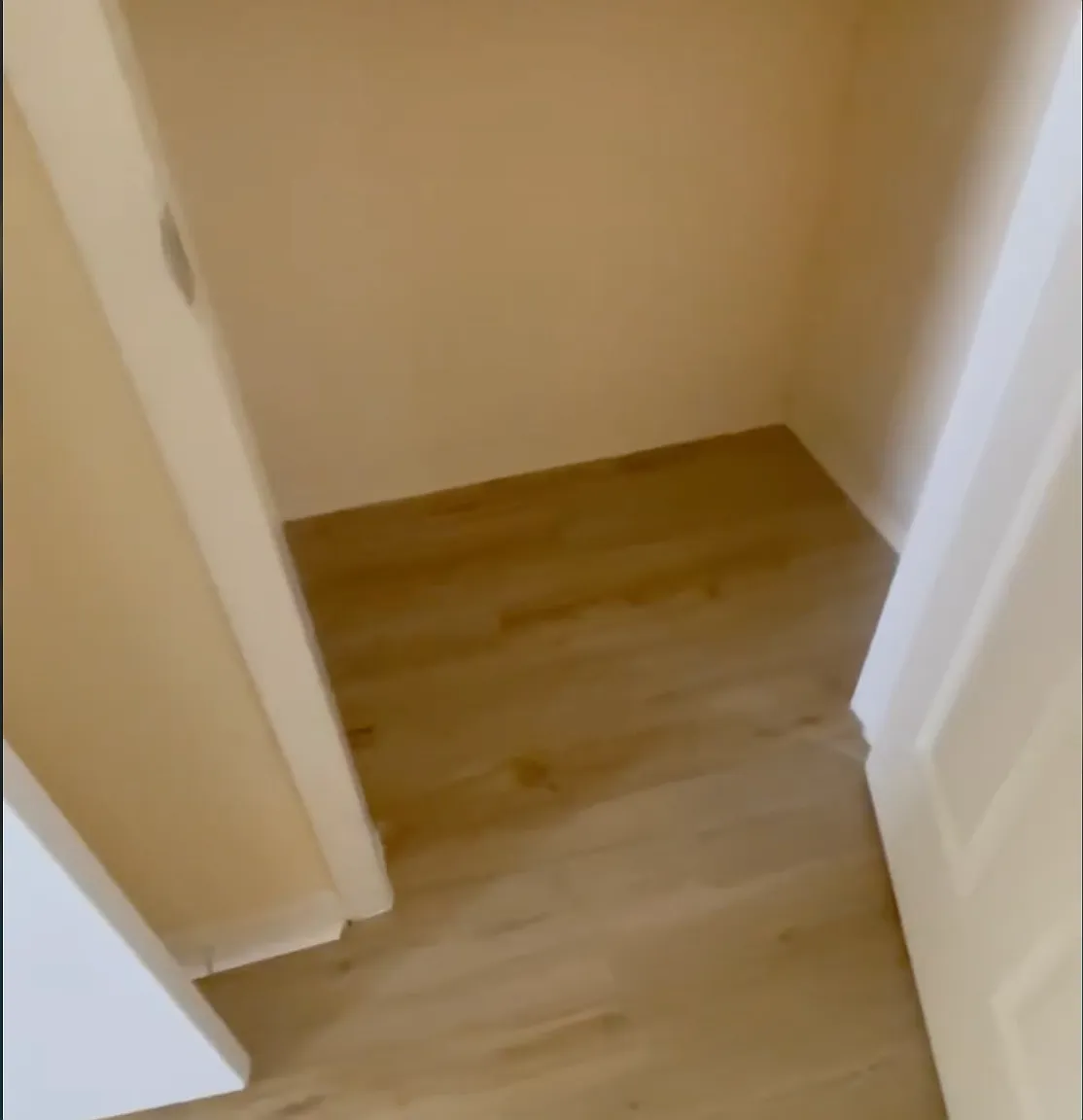 1 bed, 500 sqft, $775 — Photo 4