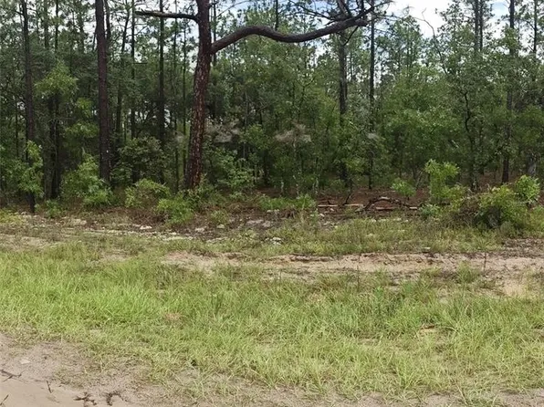 0 SW 69th Pl Lot 8, Ocala, FL 34481