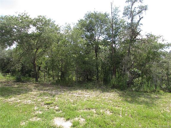 3rd image of 10109 N Elkcam Blvd