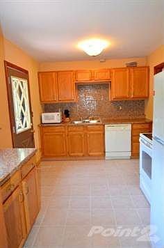 Beautiful newly remodeled kitchen.