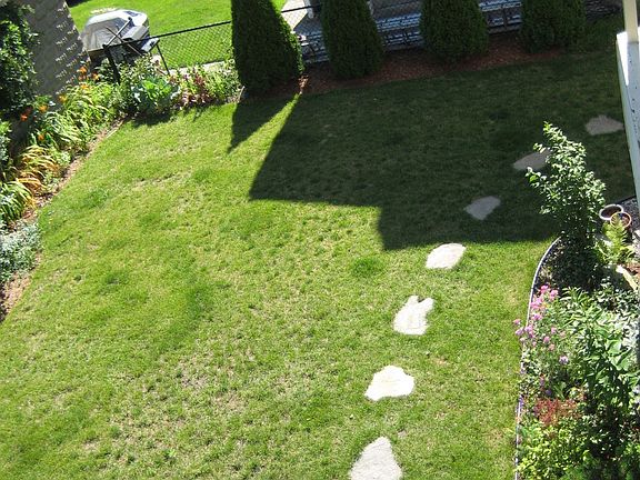 147 4th Street, Back Yard