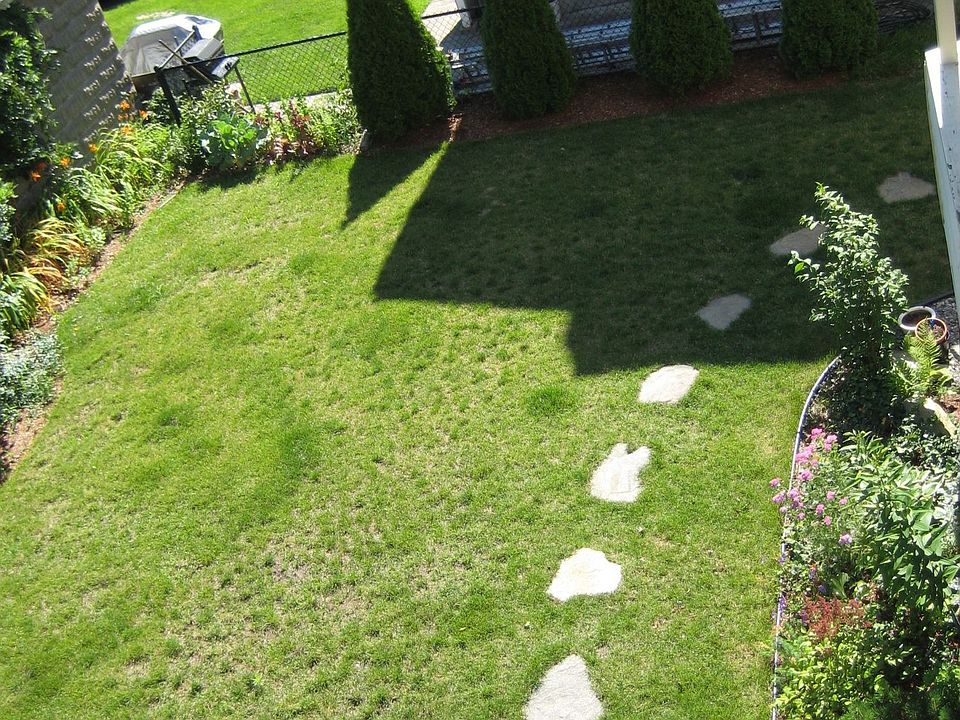 147 4th Street, Back Yard