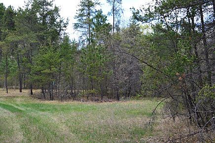 Actual photo of the property