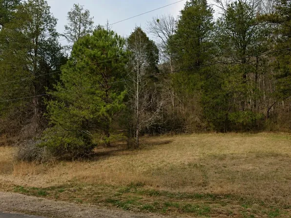 0 Heritage Valley Dr #29, Springville, AL 35146