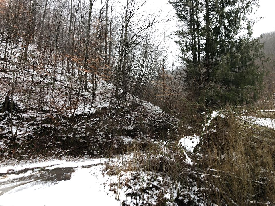 2nd image of 0 Ray Branch Rd