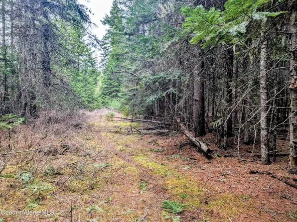 240 Buckeye Ln, Saint Maries, ID 83861