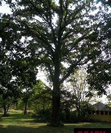 5th image of 37103 County Road 20