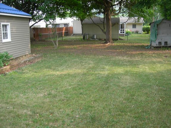 Back yard