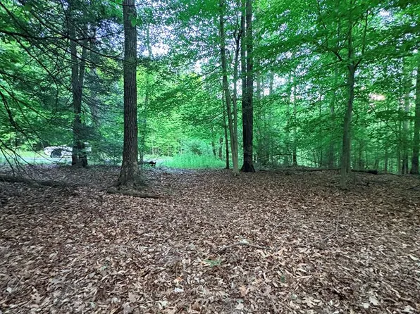 0 Ledgeview Dr, Fayetteville, WV 25840