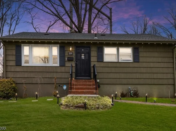 238 W 9Th Ave, Roselle Boro, NJ 07203