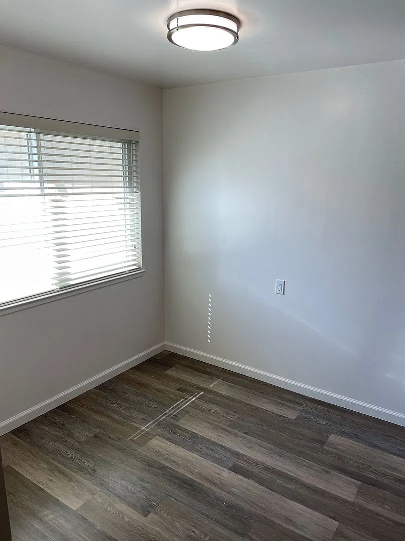 375 Richmond Dr — Photo 4