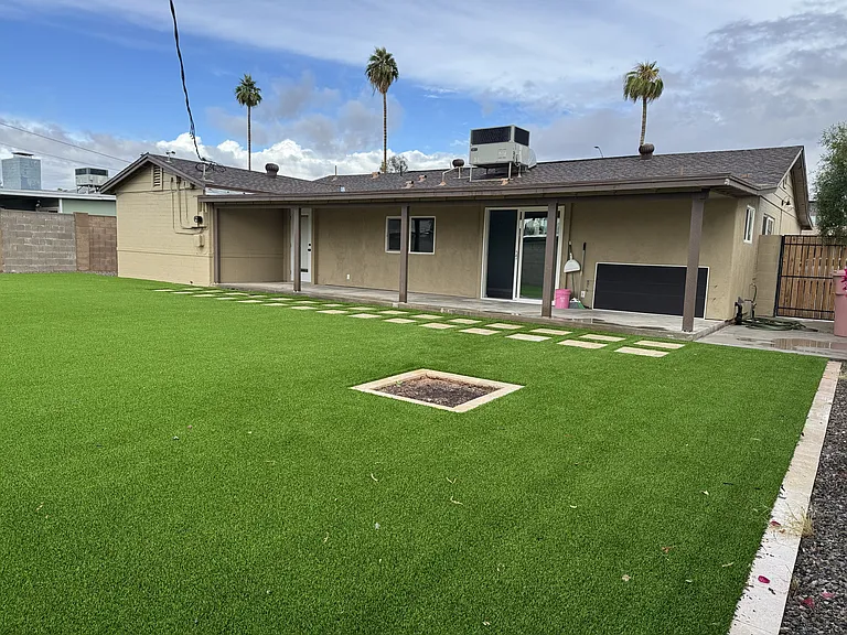Backyard